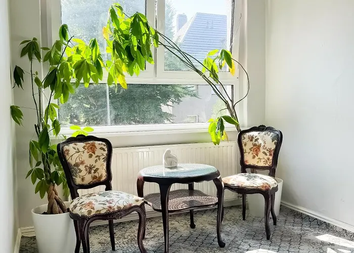 Sunny Rose Свиноуйсьце